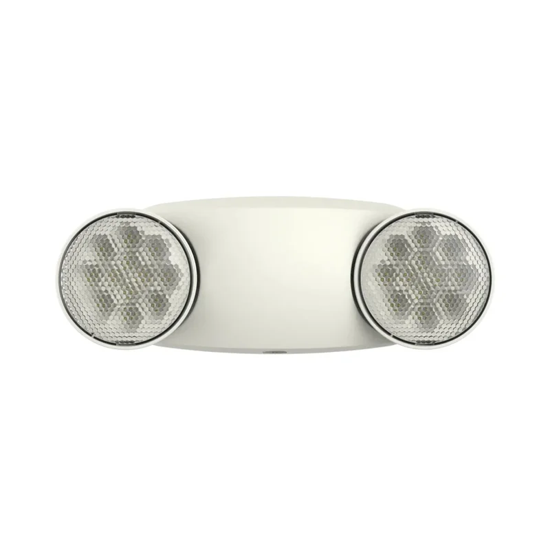 beeslighting32660768