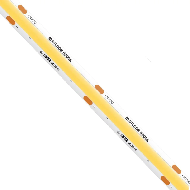 beeslighting32661239