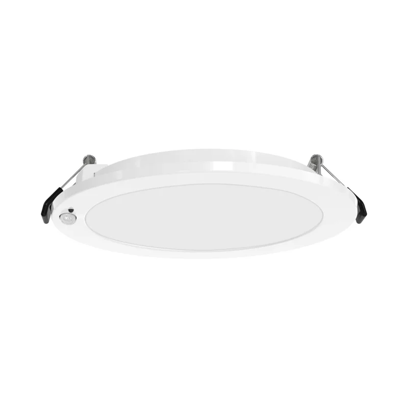 beeslighting32661599