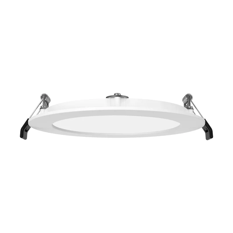 beeslighting32661607