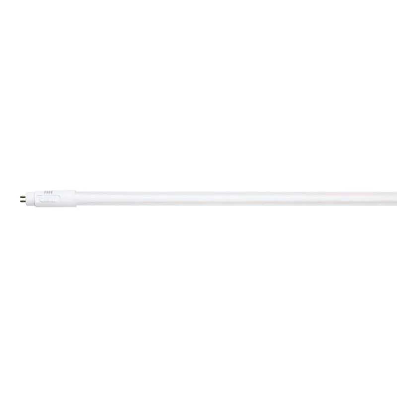 beeslighting32661732