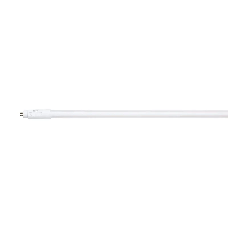 beeslighting32661736