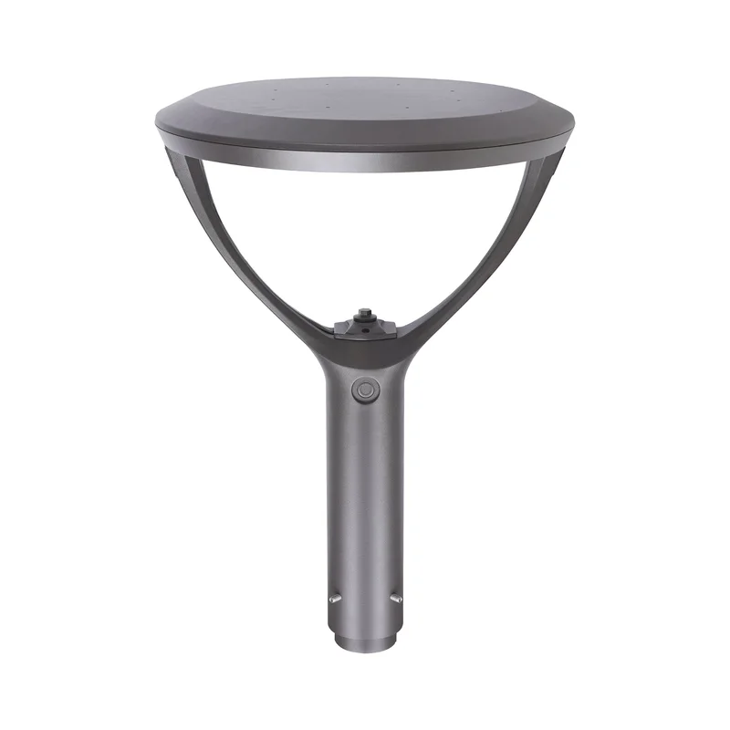 beeslighting32662797