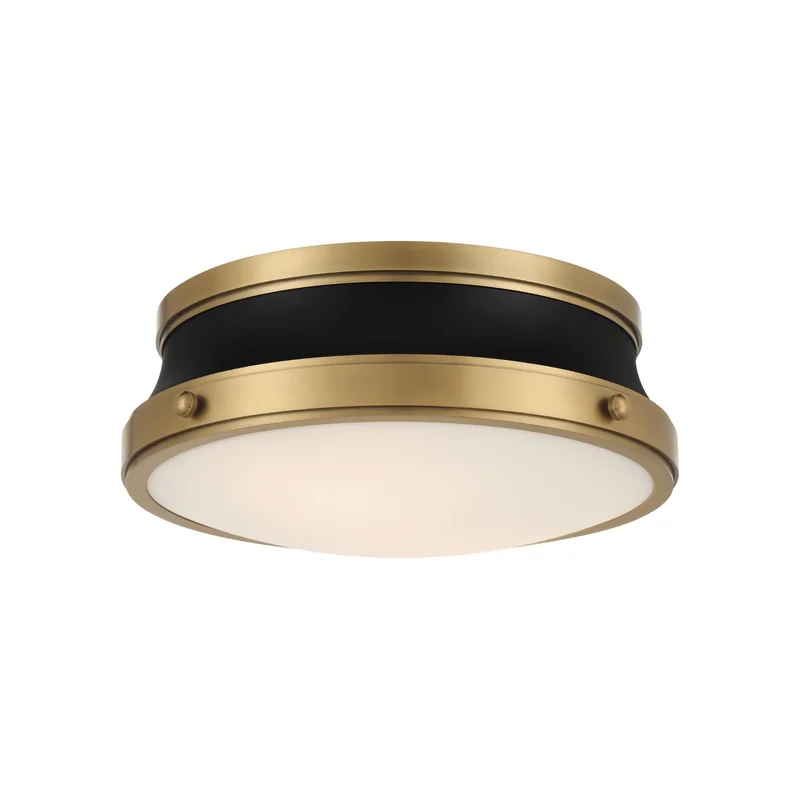 beeslighting32662987