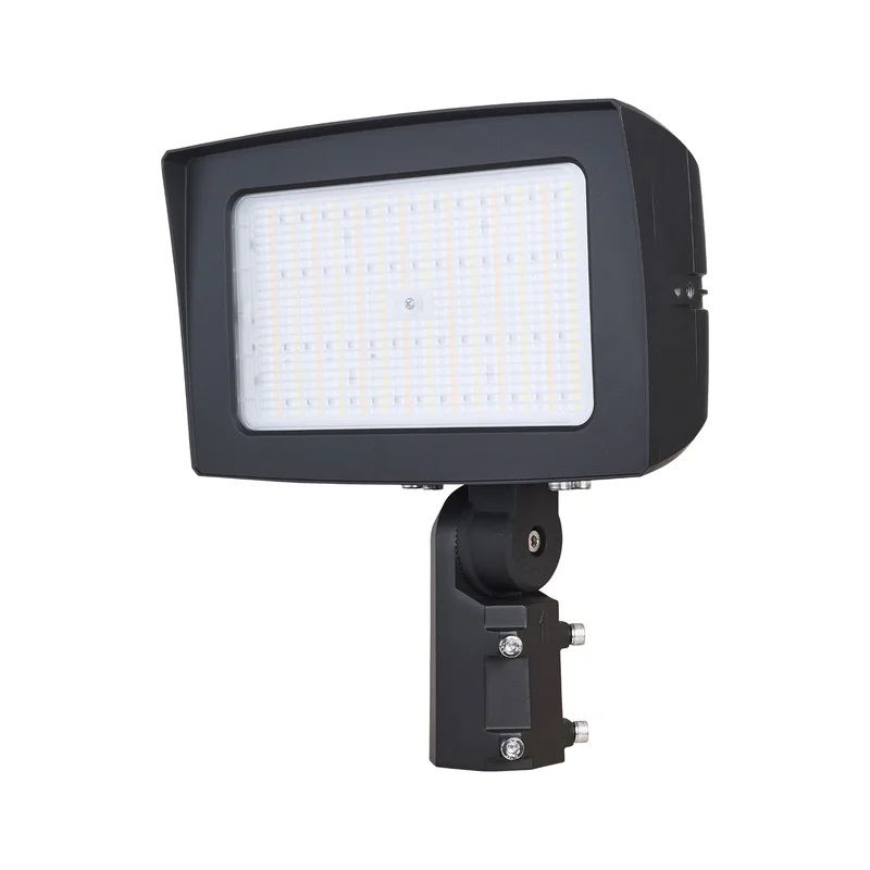 beeslighting32666411