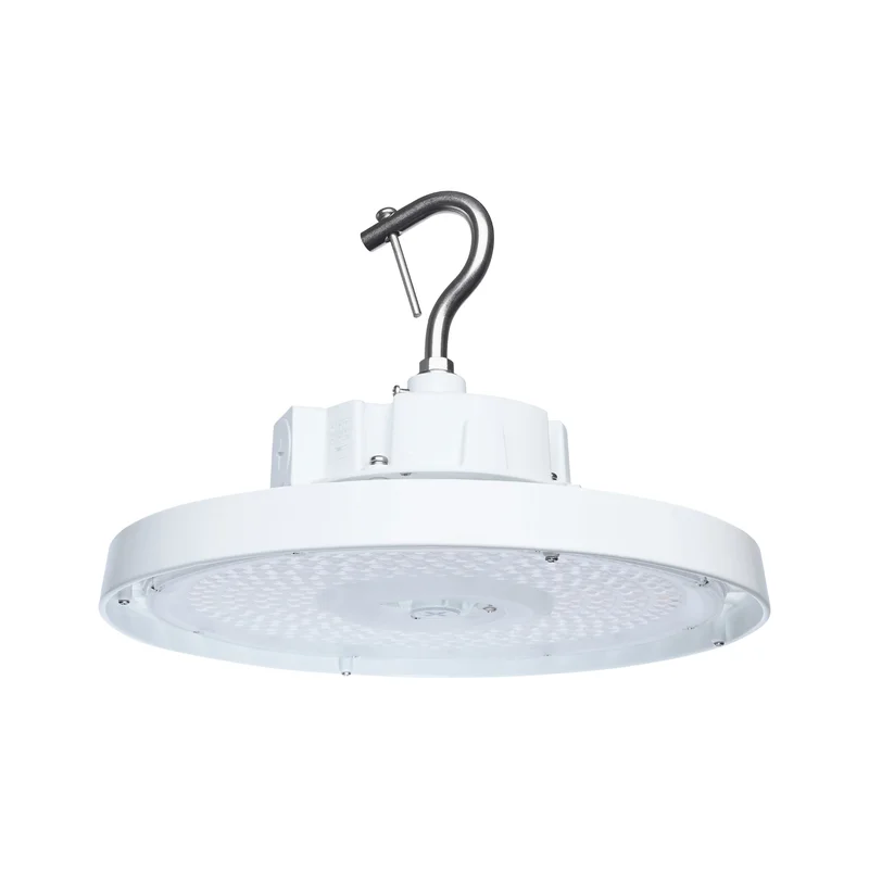 beeslighting32666445