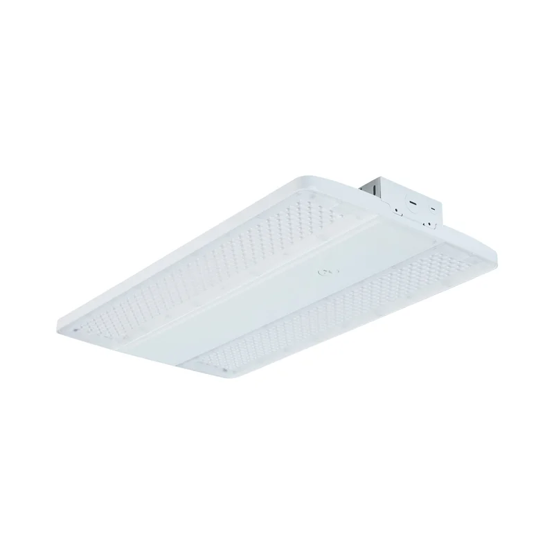 beeslighting32666469