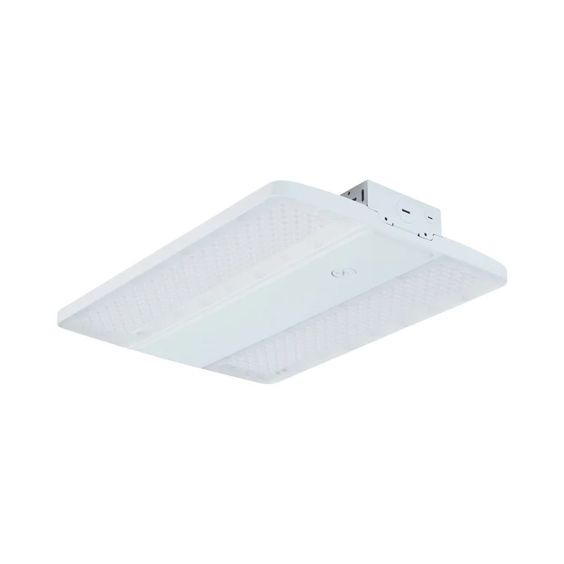 beeslighting32666473