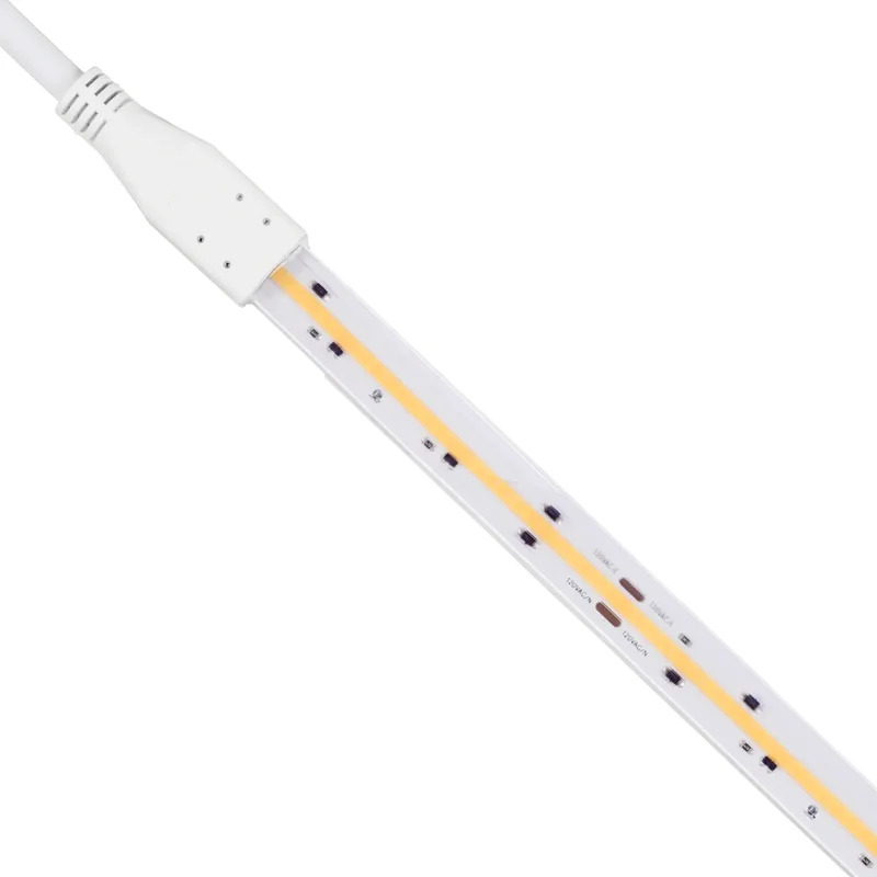 beeslighting32666854