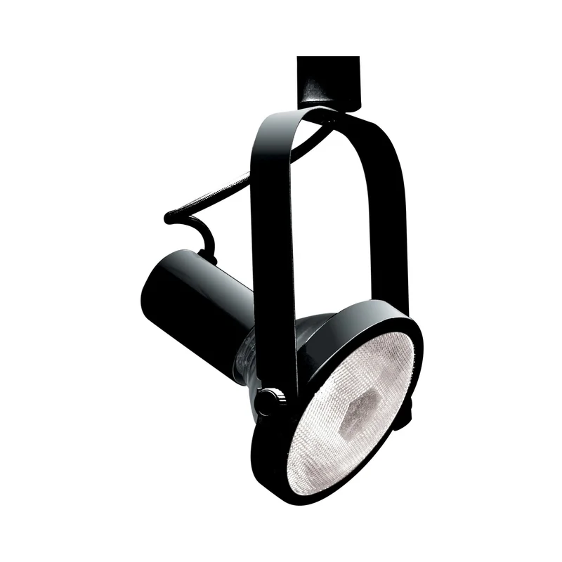 beeslighting32667732