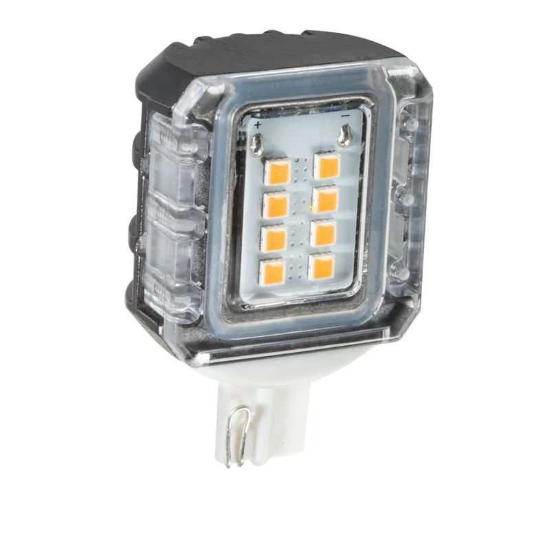 beeslighting32669398