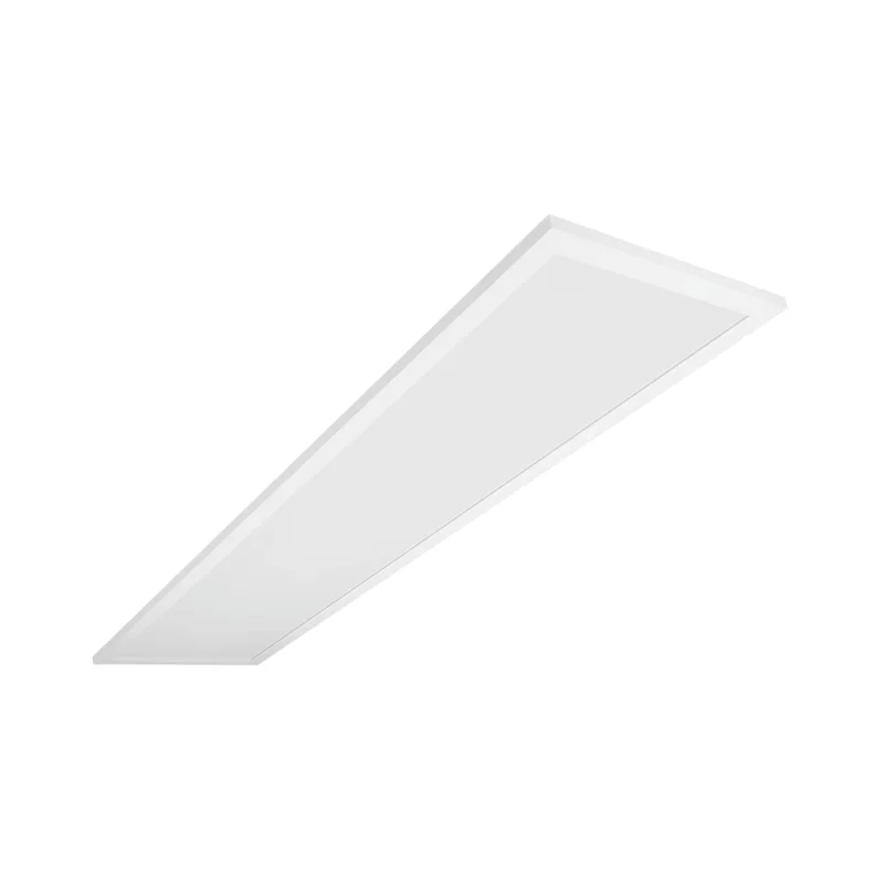beeslighting32669510
