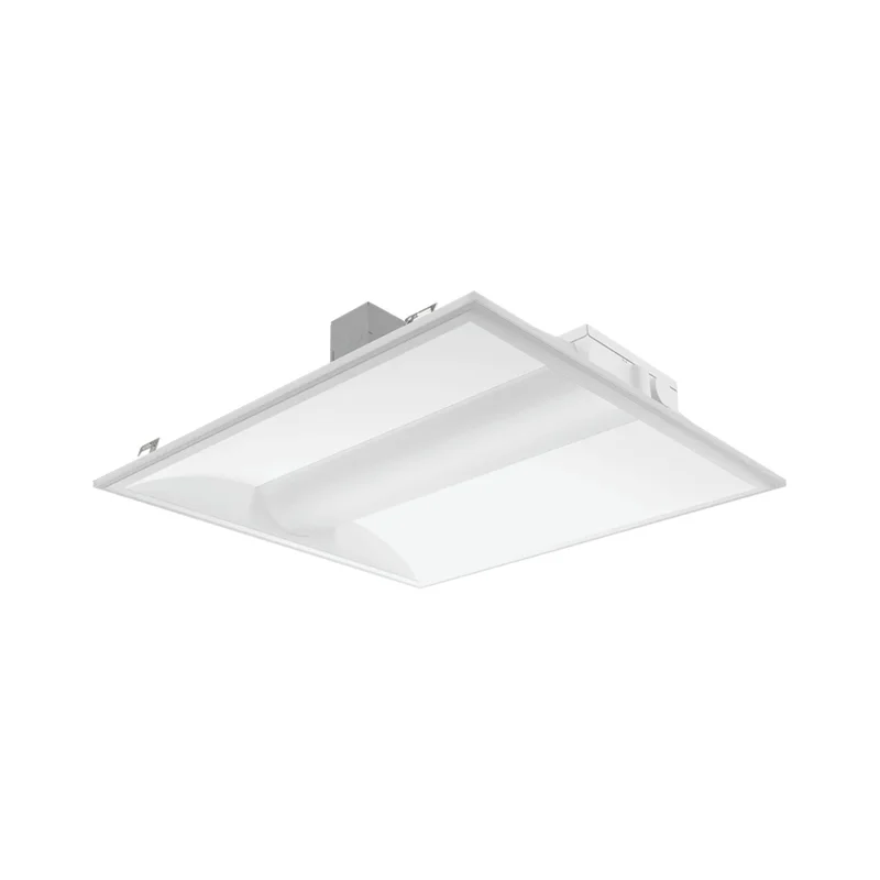beeslighting32669737