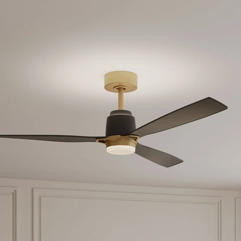 beeslighting32669919