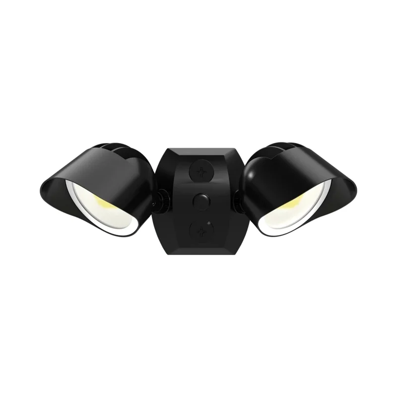 beeslighting32672185