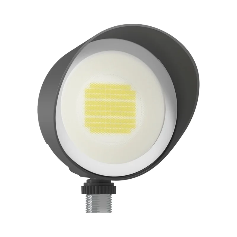 beeslighting32672218