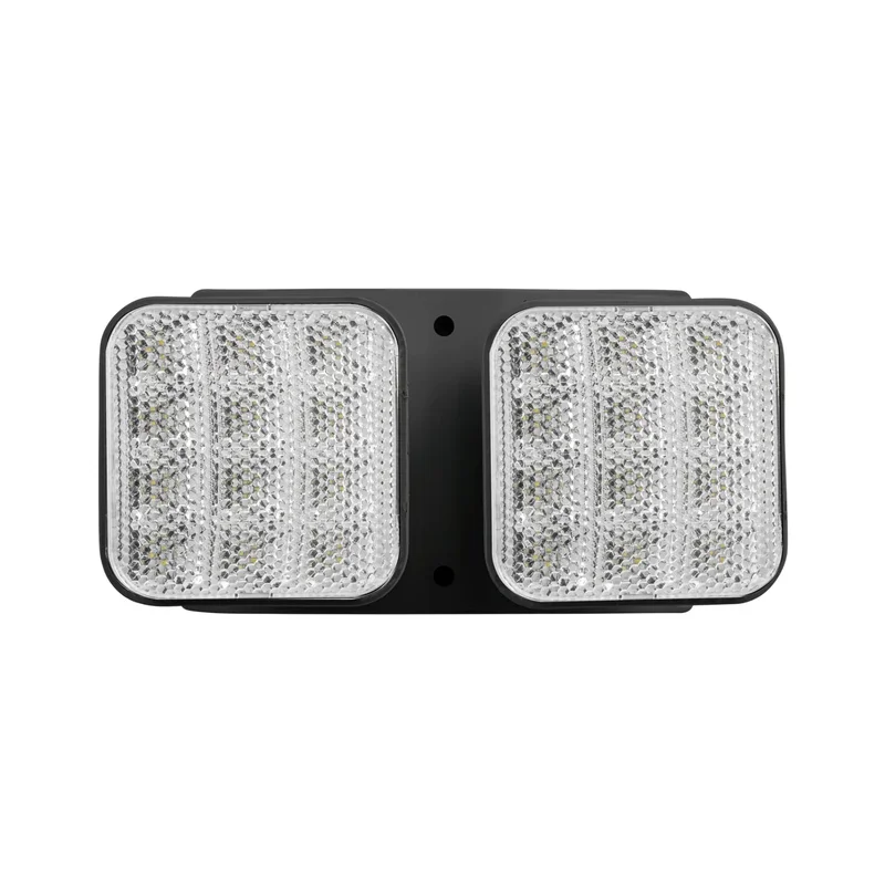 beeslighting32689902