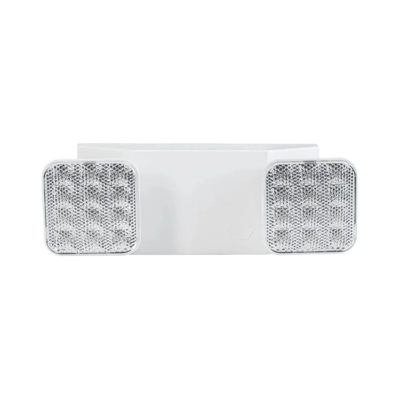 beeslighting32689929