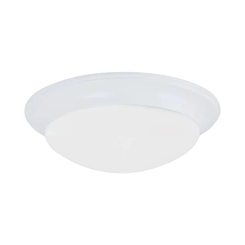 beeslighting32691779