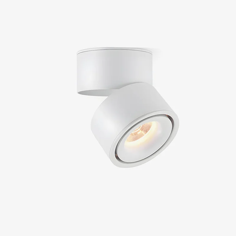 blowlighting2617696