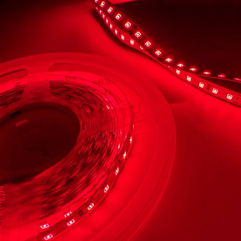 ledlightsworld2466740
