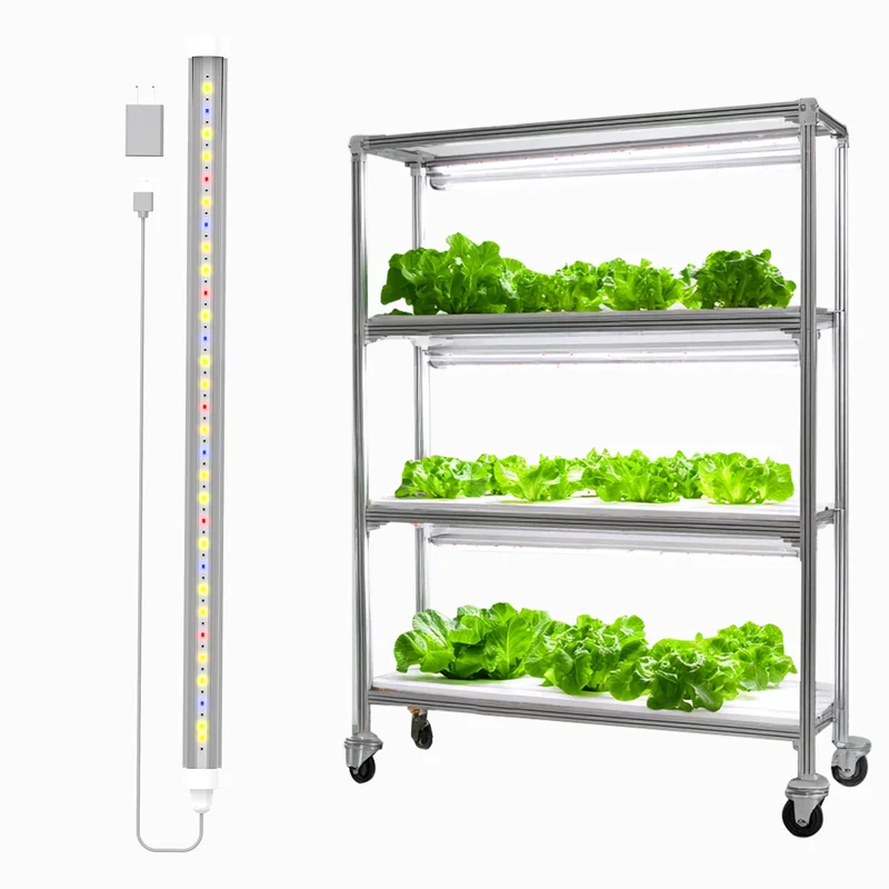 ledlightsworld2468663