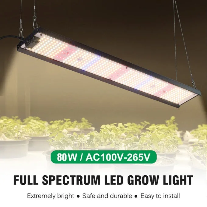 ledlightsworld2497215