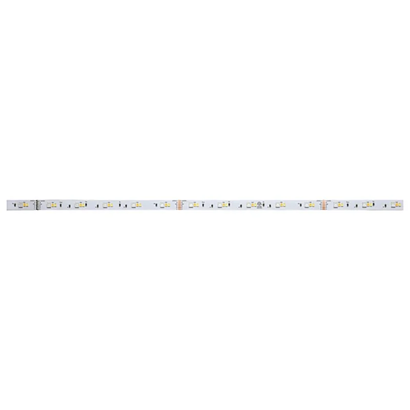 oogalights-2640689