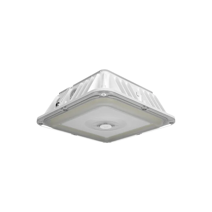 prolighting1-2755092