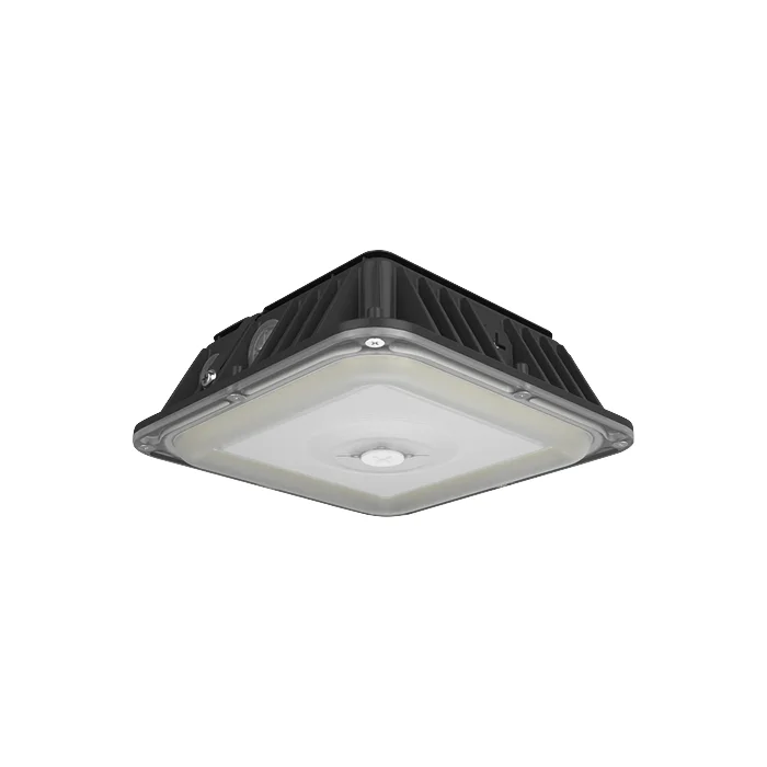 prolighting1-2755095