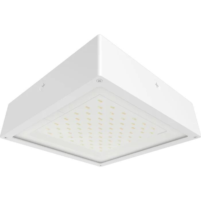 prolighting2-2707114