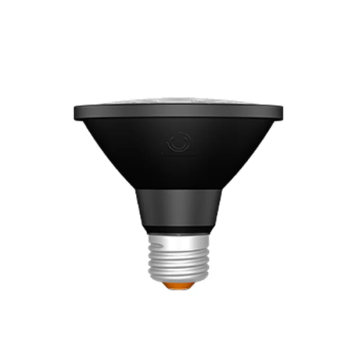 prolighting2-2715297