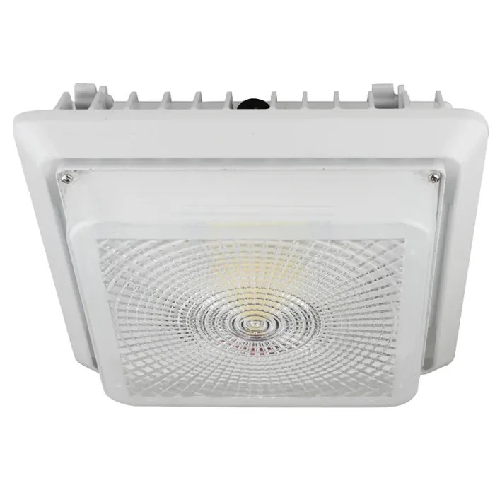 prolighting2-2751954
